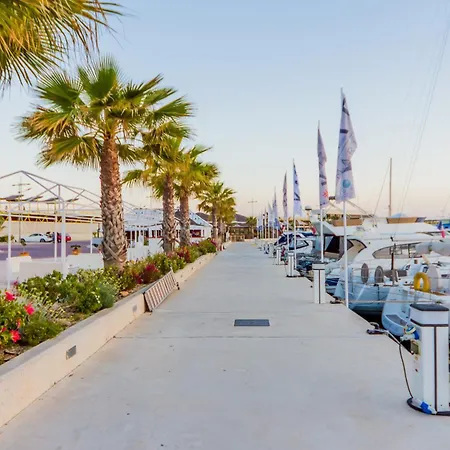 Alegria Id94 Torrevieja