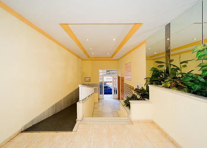 Alegria Id94 * טורבייחה