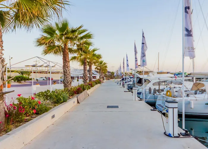 Alegria Id94 Torrevieja