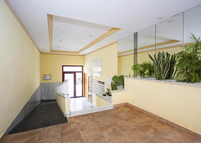 Alegria Id94 * Torrevieja