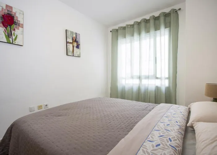 Apartamento Alegria Id94 Torrevieja